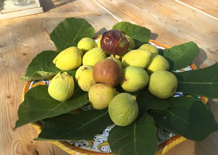 I Matrulli * Cisternino