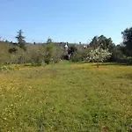 I Matrulli * Cisternino
